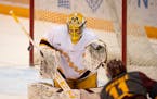 Minnesota Gophers goaltender Jack LaFontaine (45) made a stick save of a shot by Arizona State Sun Devils forward Benji Eckerle (11) in the third peri
