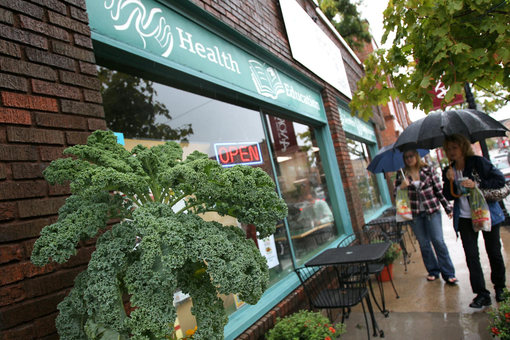 Jerry Holt • Jgholt@startribune.com Anoka MN 09/24/10: After three decades, Anoka's natural-foods coop has been reborn. Again. Since parting with Lakewinds, which owns co-ops in Minnetonka and Chanhassen, the newly-named Grass Roots Co-op has flourished, adding a luncheon counter and tables that attract a downtown clinetele (mostly from the Government Center and a nearby retirement center) as well as folks from surrounding counties. People come from beyond Big Lake (half-way to St. Cloud)