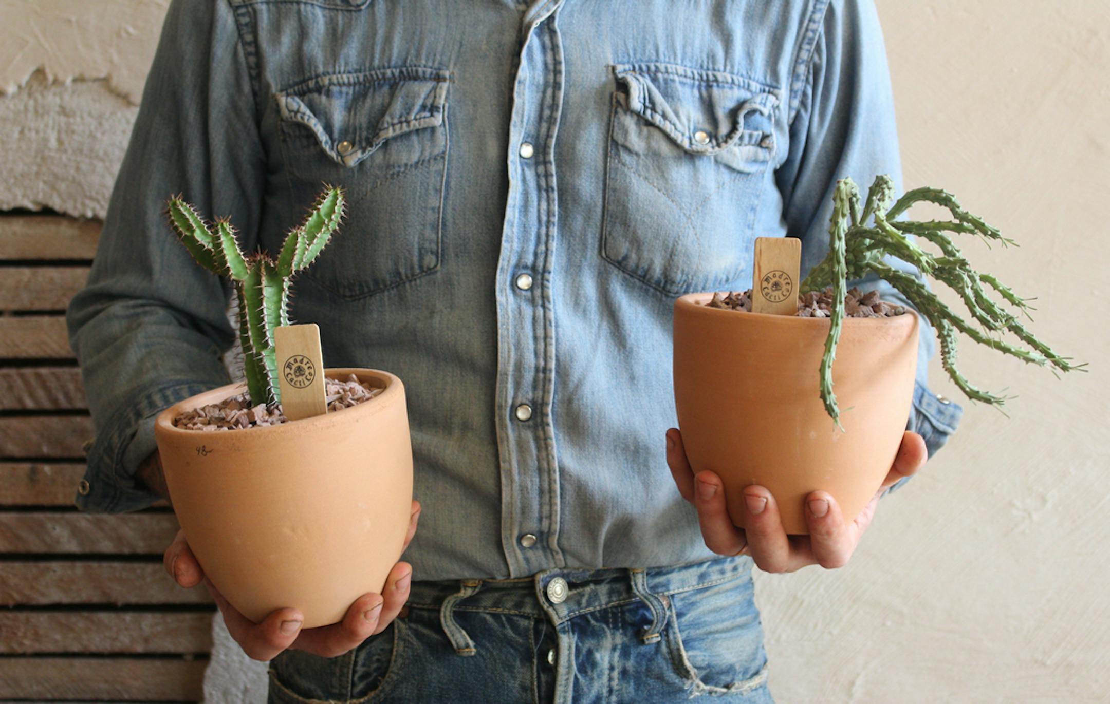 Houseplants are the new kids. Millennials are choosing to be "plant parents" over actual parents, and Madre Cacti Co. caters to them by bring the Soutwest, north.
Photo by Madeline Happold