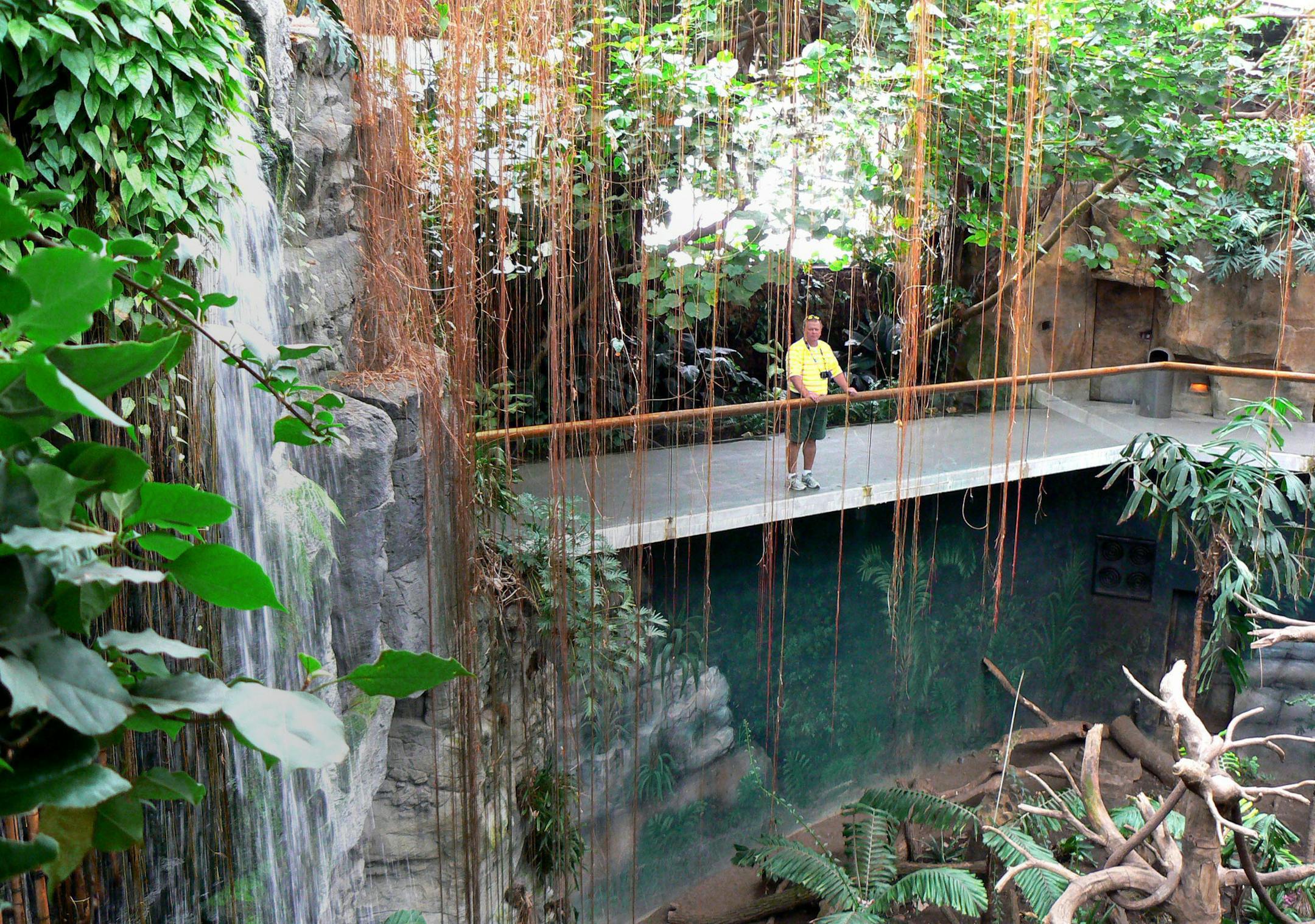The rain forest is one of the geographic habitats featured at Doorly Zoo in Omaha, Nebraska.