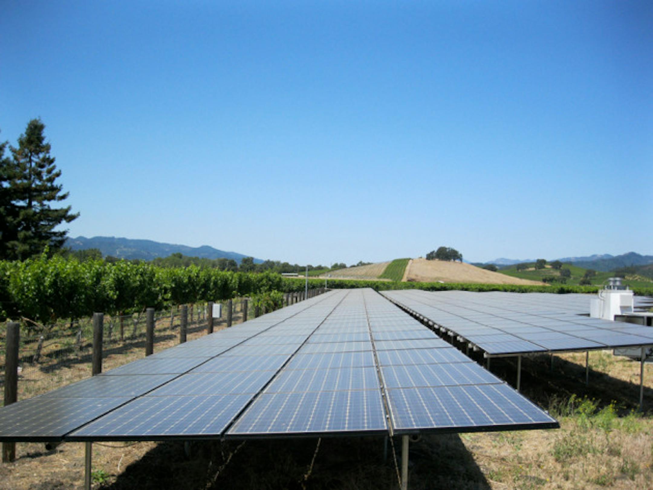 Solar panels create enough energy for the winery to run