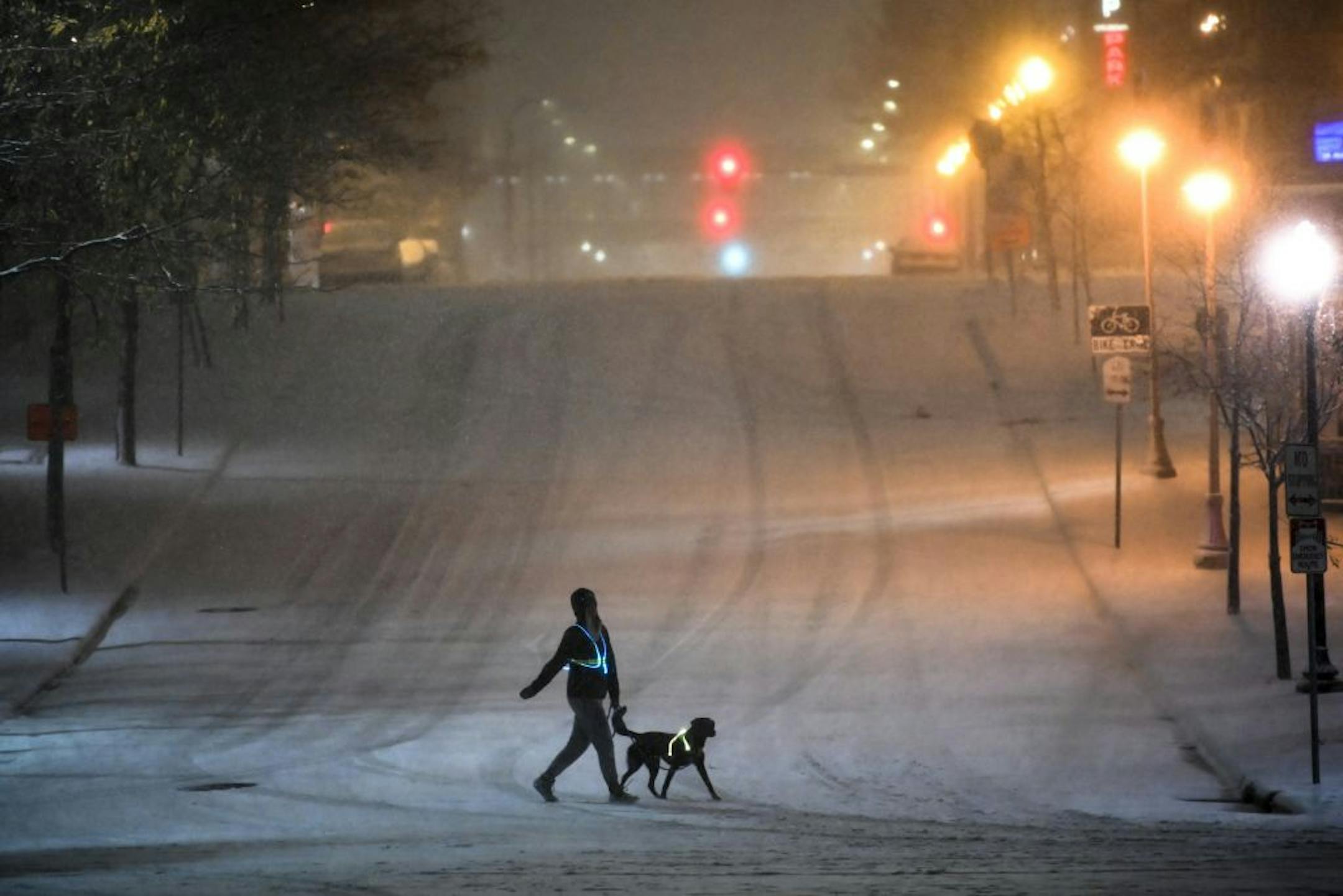 A dog walker crossed Portland Avenue along West River Parkway during a snowstorm in downtown Minneapolis on Tuesday, Nov. 11.