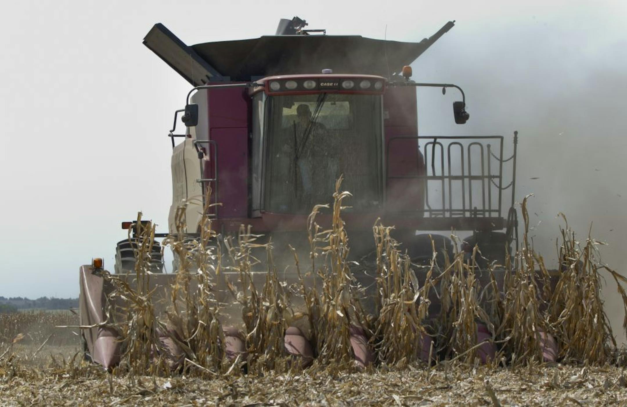 A combine on Thursday was surrounded by dust as a farmer finished harvesting a row of corn near Bennington, Neb.