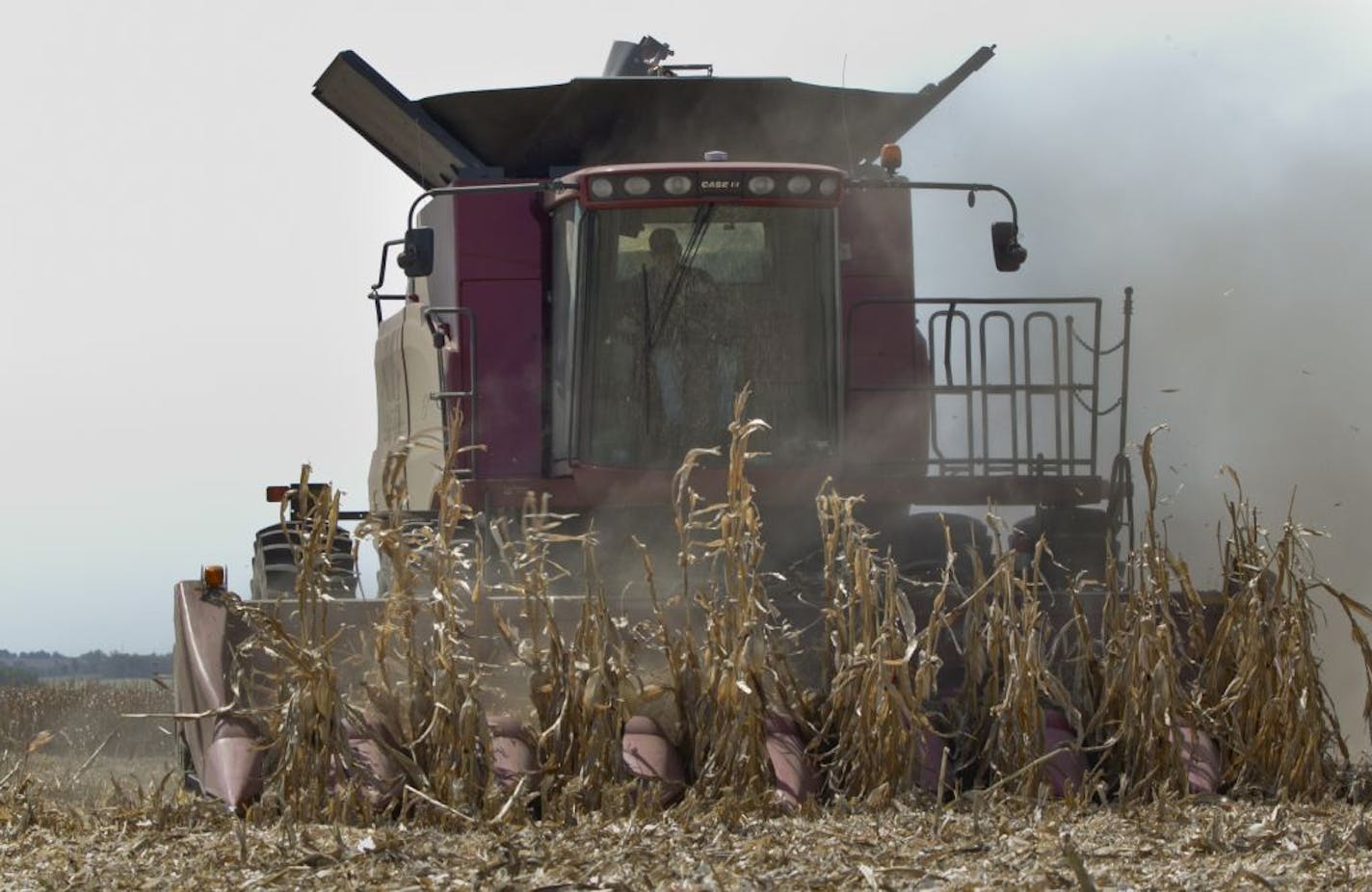 A combine on Thursday was surrounded by dust as a farmer finished harvesting a row of corn near Bennington, Neb.