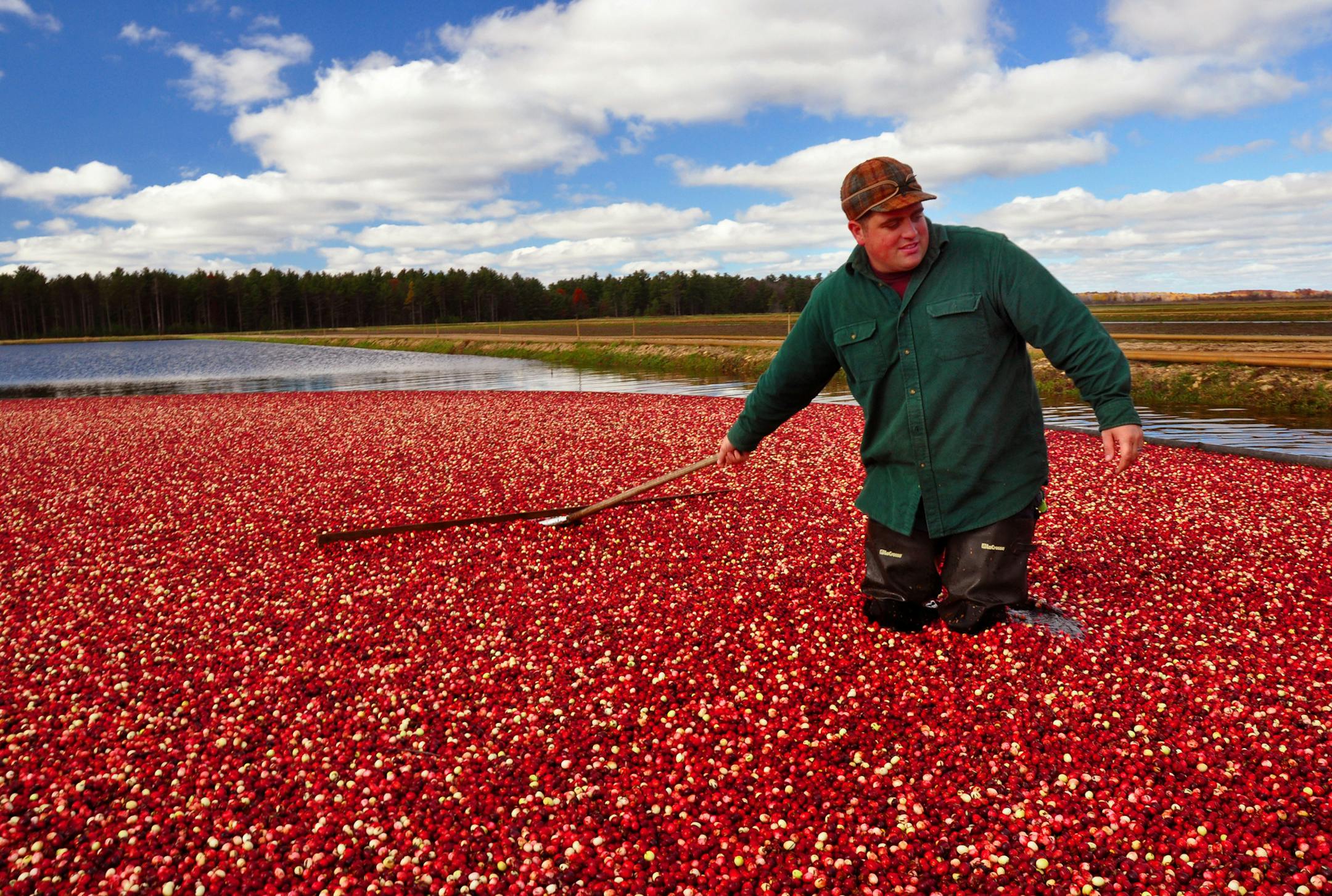 John Moss is the fourth generation to work on the family farm, Elm Lake Cranberry Co. near Wisconsin Rapids, Wis.