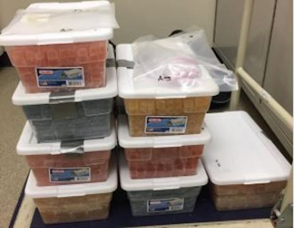 These eight containers holding many thousands of edible gummies were seized by law enforcement in Lakeville and have a street value of $40,000 to $50,