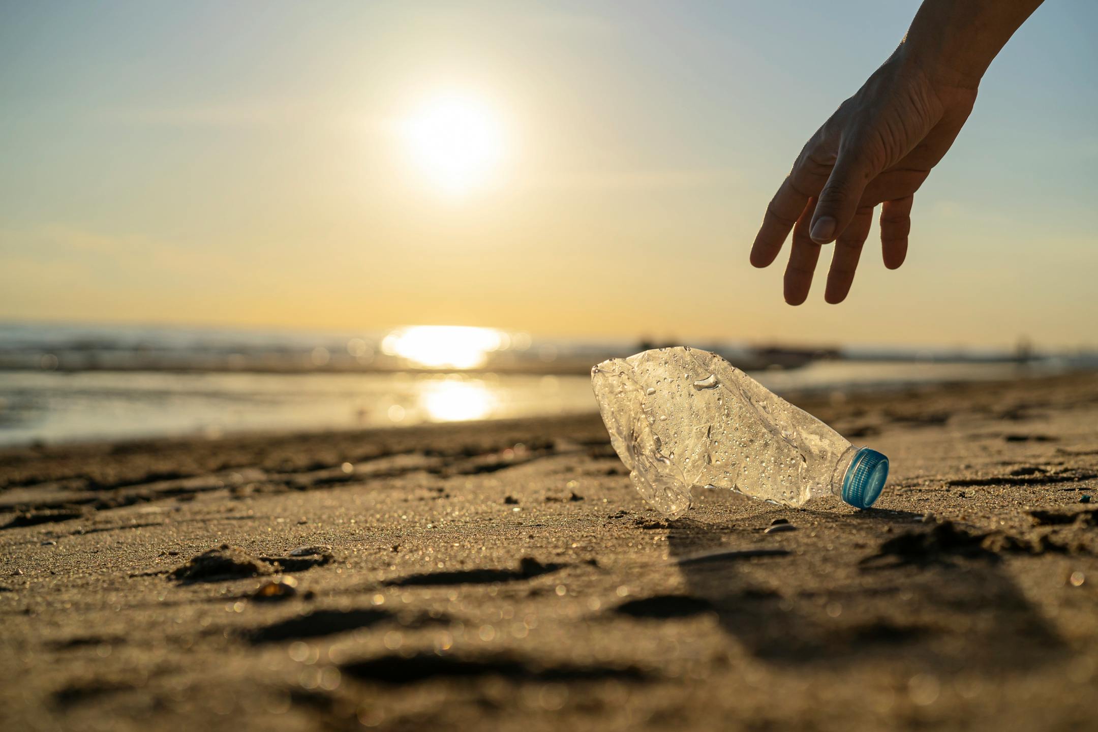 Volunteer man and plastic bottle, clean up day, collecting waste on sea beach, pollution and recycling concept
