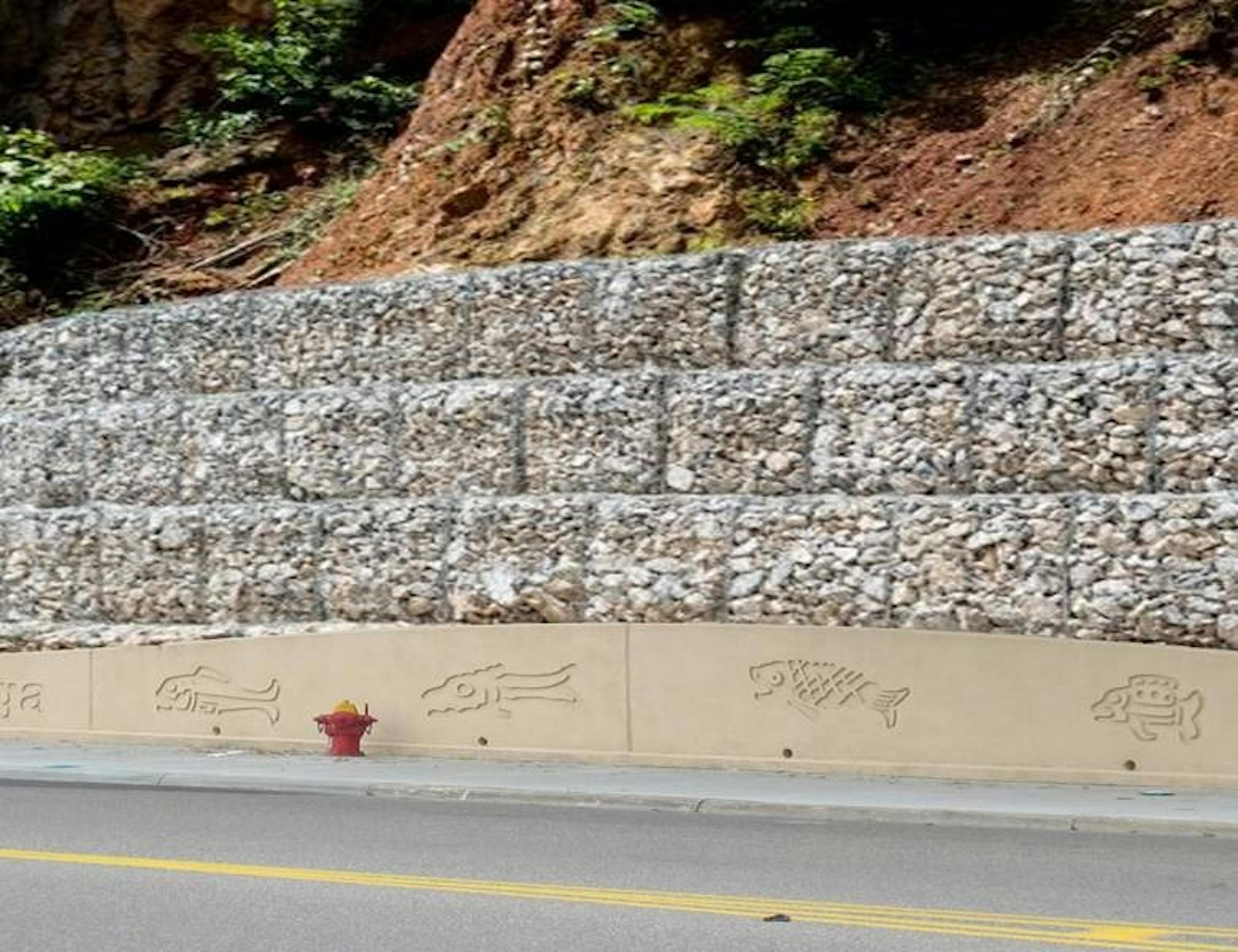 A gabion wall for Wabasha Street would be a retaining wall made of rocks held together by wire mesh.