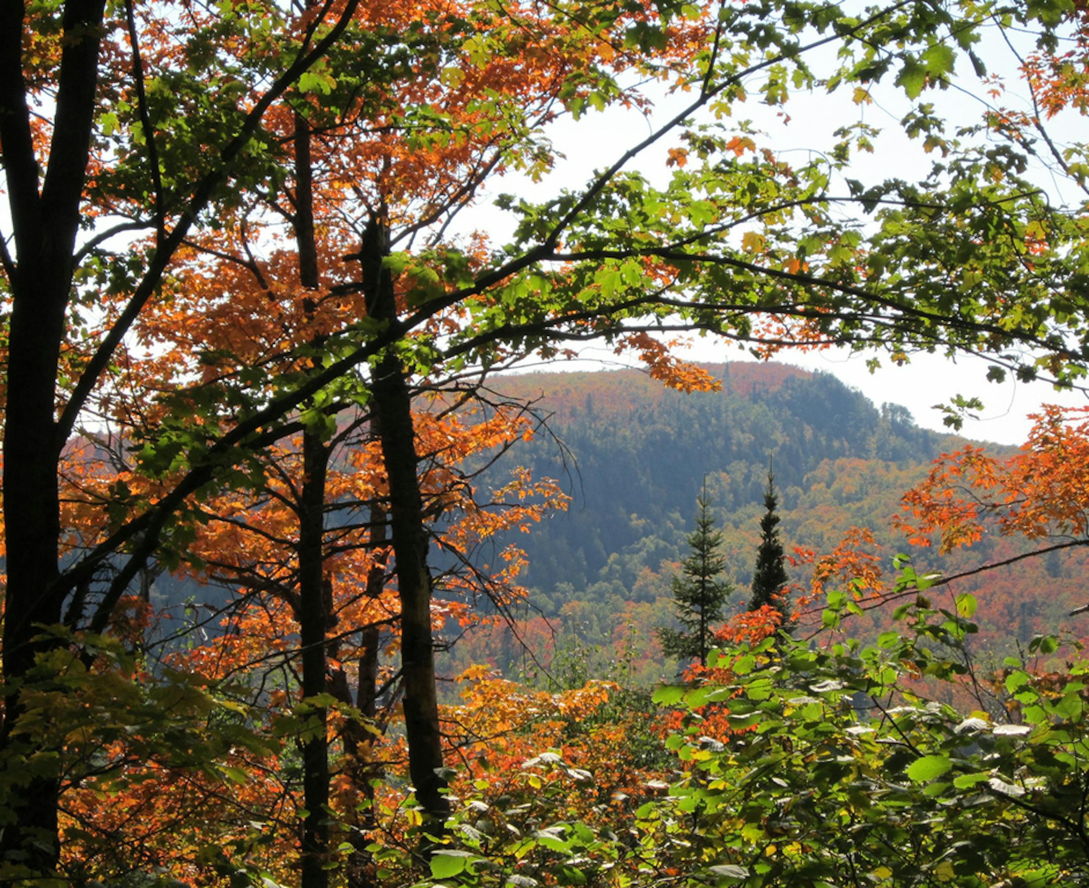 The Oberg Mountain Trail rises above Lake Superior near Tofte.