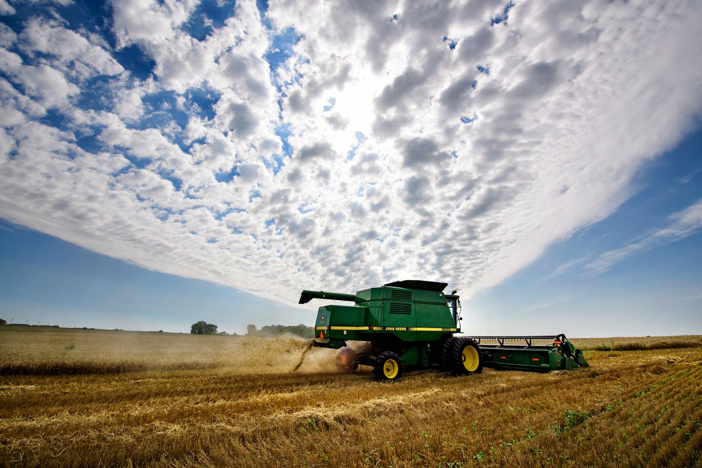 Jack Weber drove his wheat combine on his field. The wheat doesn't bring much cash but it does improve the health of his soil. ] GLEN STUBBE &#xa5; glen.stubbe@startribune.com Wednesday, August 23, 2017 Trip to western Minnesota with Glen Stubbe to interview, photograph and film the harvesting of wheat at Jack Weber's farm. Wheat doesn't make him money but it does improve the health of his soil. This crop rotation is one of several steps Weber uses to make the land better and is in line with wha