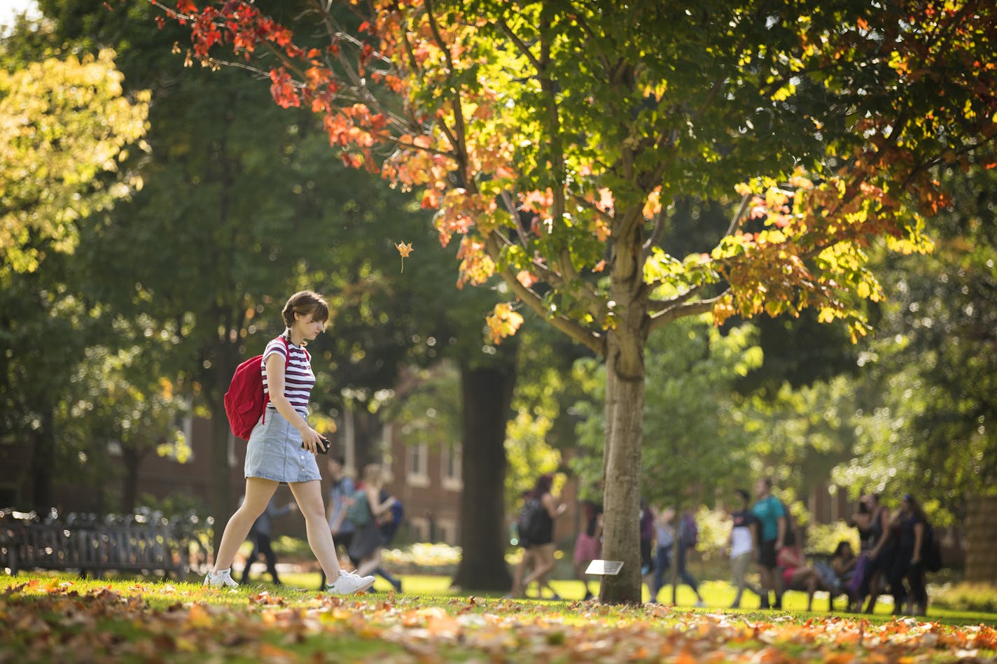 Student walk on campus at Macalester College. ] LEILA NAVIDI &#xef; leila.navidi@startribune.com BACKGROUND INFORMATION: Hot weather on the first day of autumn on the campus of Macalester College in St. Paul on Friday, September 22, 2017.