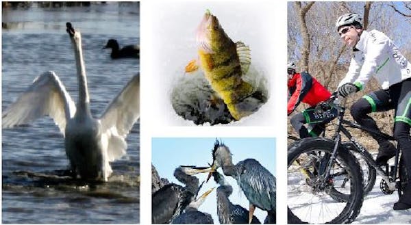 The Outdoor Skills and Stewardship series of webinars hits on a breadth of topics, from tundra swan migration to fatbiking essentials.