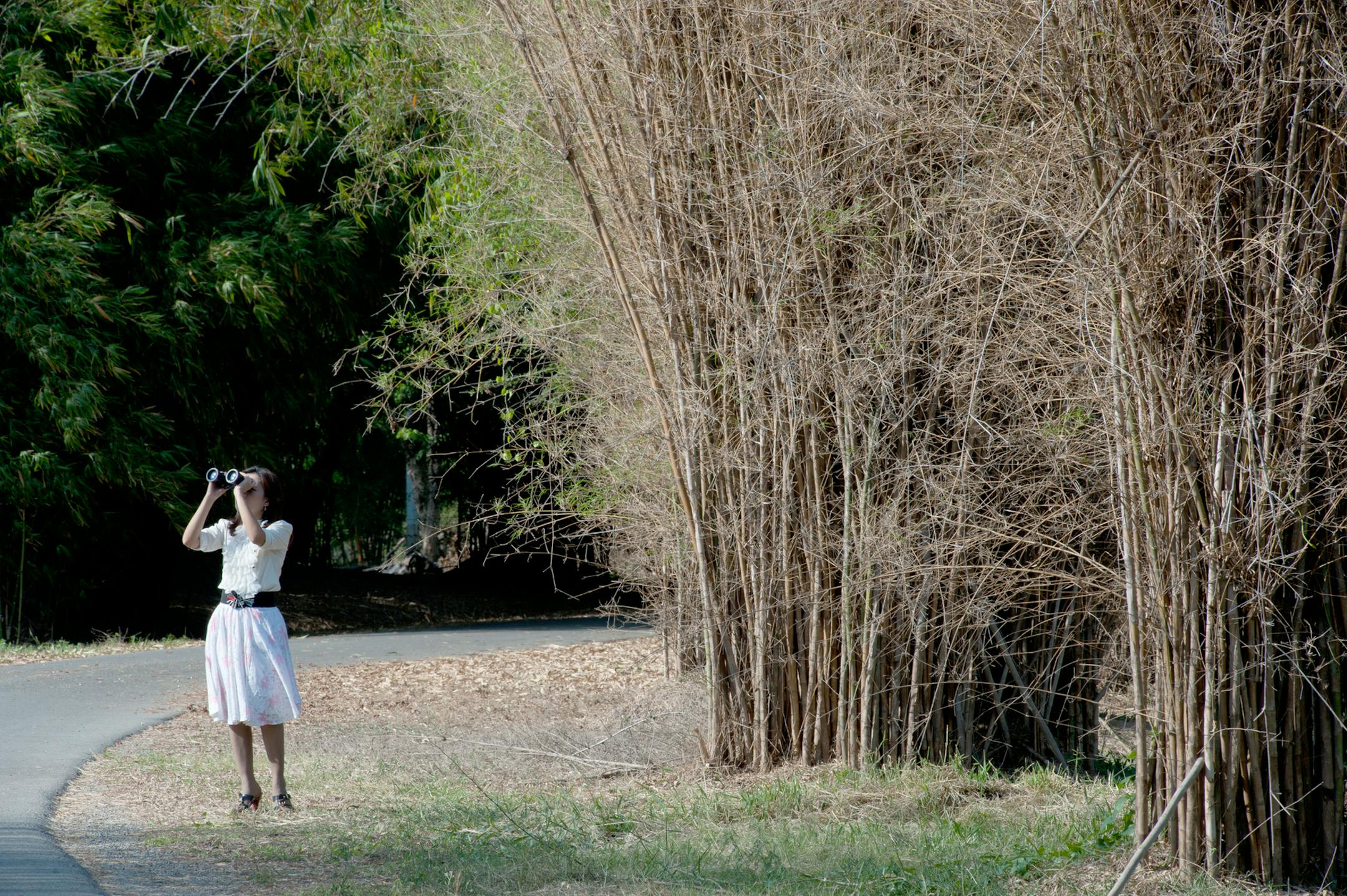 Birdwatching can be easier with apps.