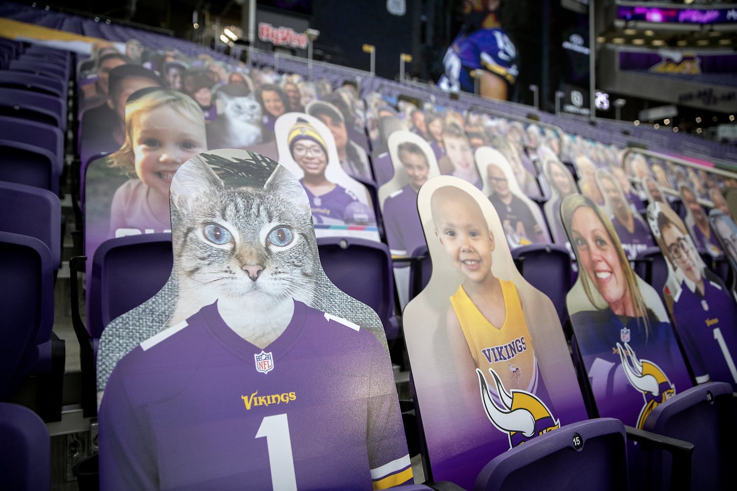 Photo cut-outs took the place of fans in the stands. ] ELIZABETH FLORES • liz.flores@startribune.com The Minnesota Vikings played the Atlanta Falcons at U.S. Bank Stadium in Minneapolis on Sunday, October 18, 2020. ORG XMIT: MIN2010181730340202