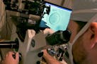 An embryologist uses a microscope to view an embryo, visible on a monitor, right, in New York.
