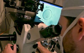 An embryologist uses a microscope to view an embryo, visible on a monitor, right, in New York.