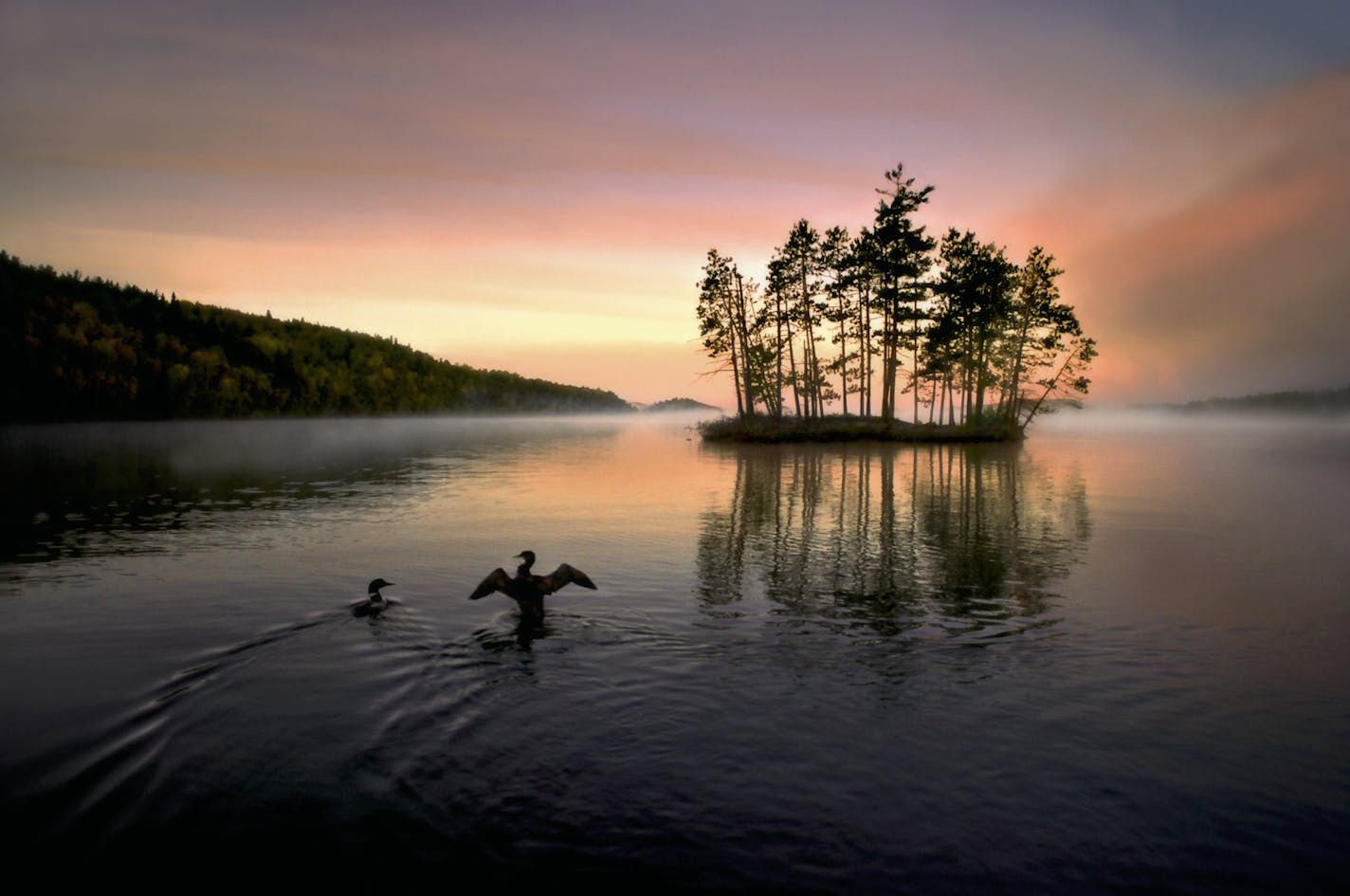 The young loon was struggling as Jim Brandenburg drifted near. It was tangled in fishing line, a lure stuck in its neck. He got a landing net, then caught and freed the loon. It was in 1994, on Day 10 of a 90-day vow to take only one photo a day. "As it swam away, I made the one picture and just happened to hit it perfectly, with its wings spread. I always imagine the bird was saying, 'Oh, that feels good.'"