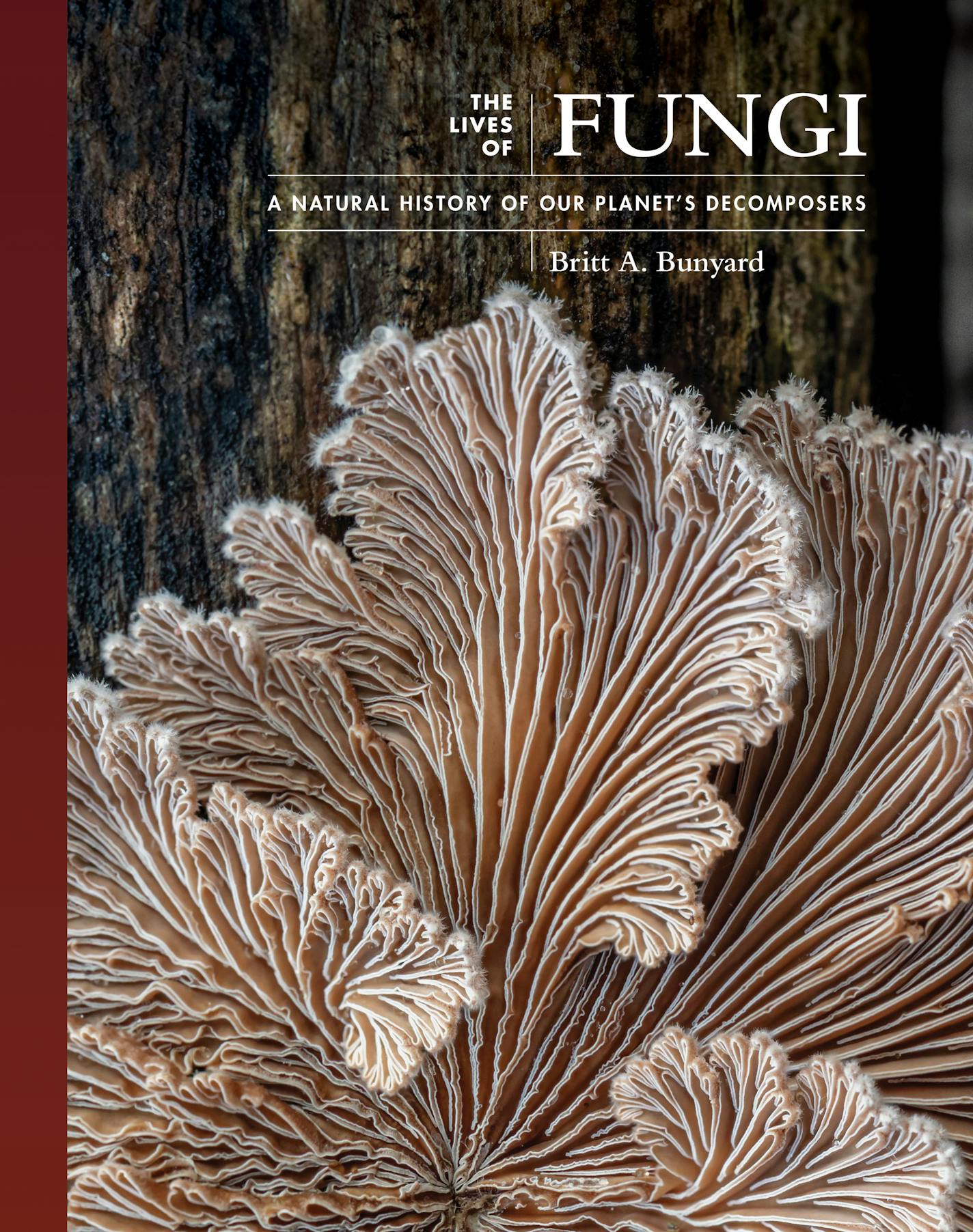 "The Lives of Fungi" by Britt Bunyard. Princeton University Press