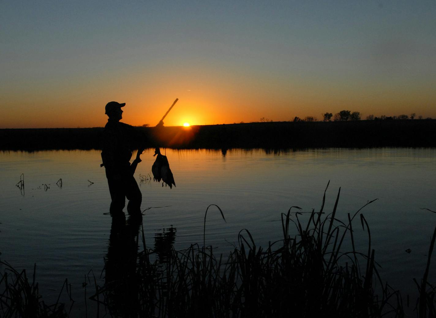 South Dakota waterfowl hunting is enjoyed only by a relative few non-residents, because licenses are awarded by lottery. For those allowed to hunt ducks in South Dakota, seeing waterfowl in the air, bagging a few birds and enjoying prairie susets at day's end are som of the rewards. ORG XMIT: MIN2012091314543625