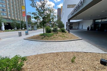 The redesigned Nicollet Mall boasts twice as many trees as its predecessor, but the lack of greenery at the ground level is glaringly noticeable.