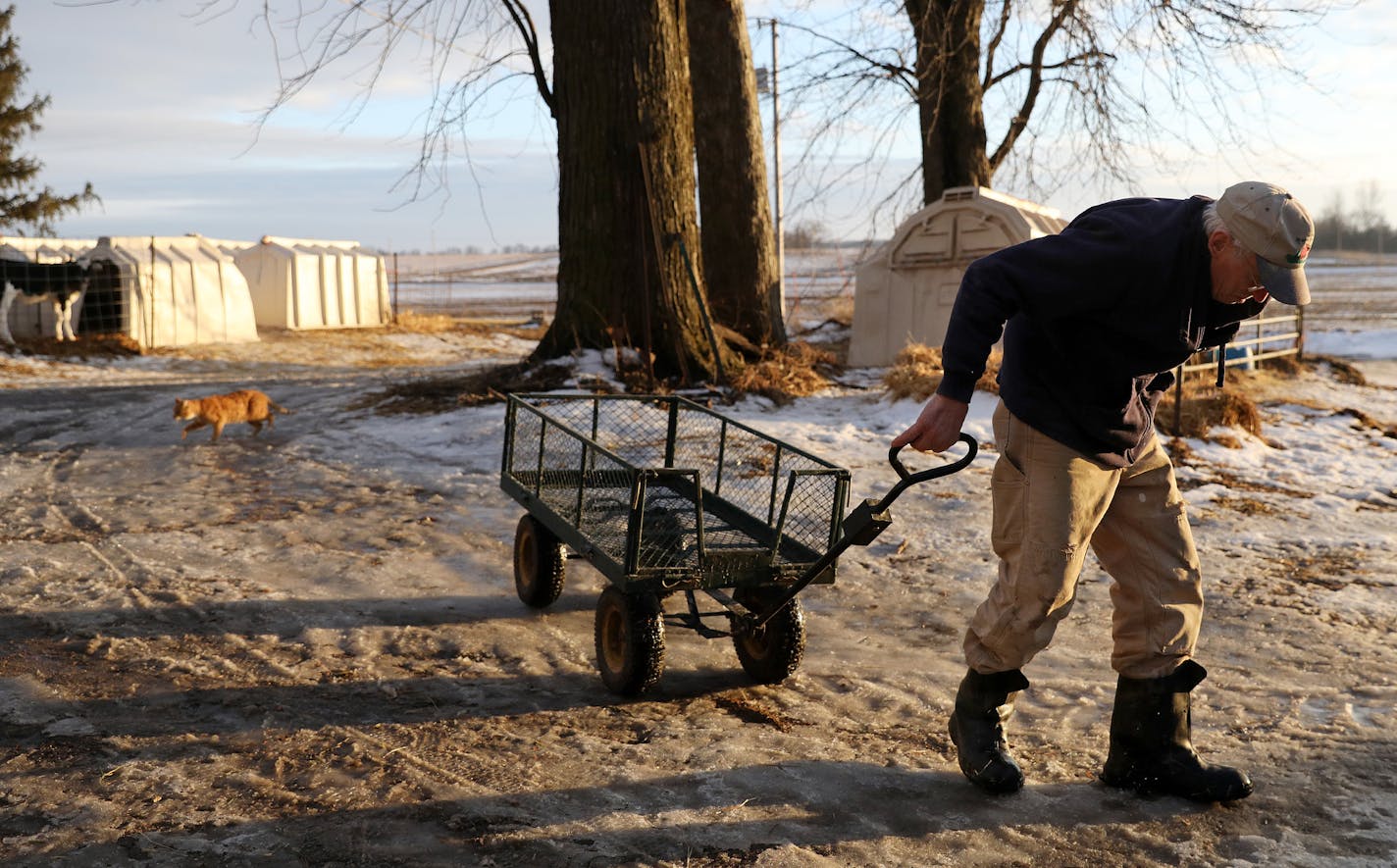 Wayne Fahning pulled a wagon after feeding bottles to calves at his family dairy operation Meadow Front Farms. ] ANTHONY SOUFFLE &#x2022; anthony.souffle@startribune.com Students attend class Thursday, Jan. 19, 2017 at Cleveland Public School in Cleveland, Minn. The school board is asking voters for $18 million to renovate its schools. Less than a year ago 70 percent of voters in Cleveland rejected a school bond issue. This is a growing trend across the state. Farmland bears an outsized tax burd