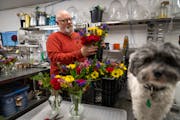 Designer Pete Nelson worked on a customer order, joined by his dog Freddie, in the workshop at Soderberg's Floral & Gift in Minneapolis on Tuesday. So