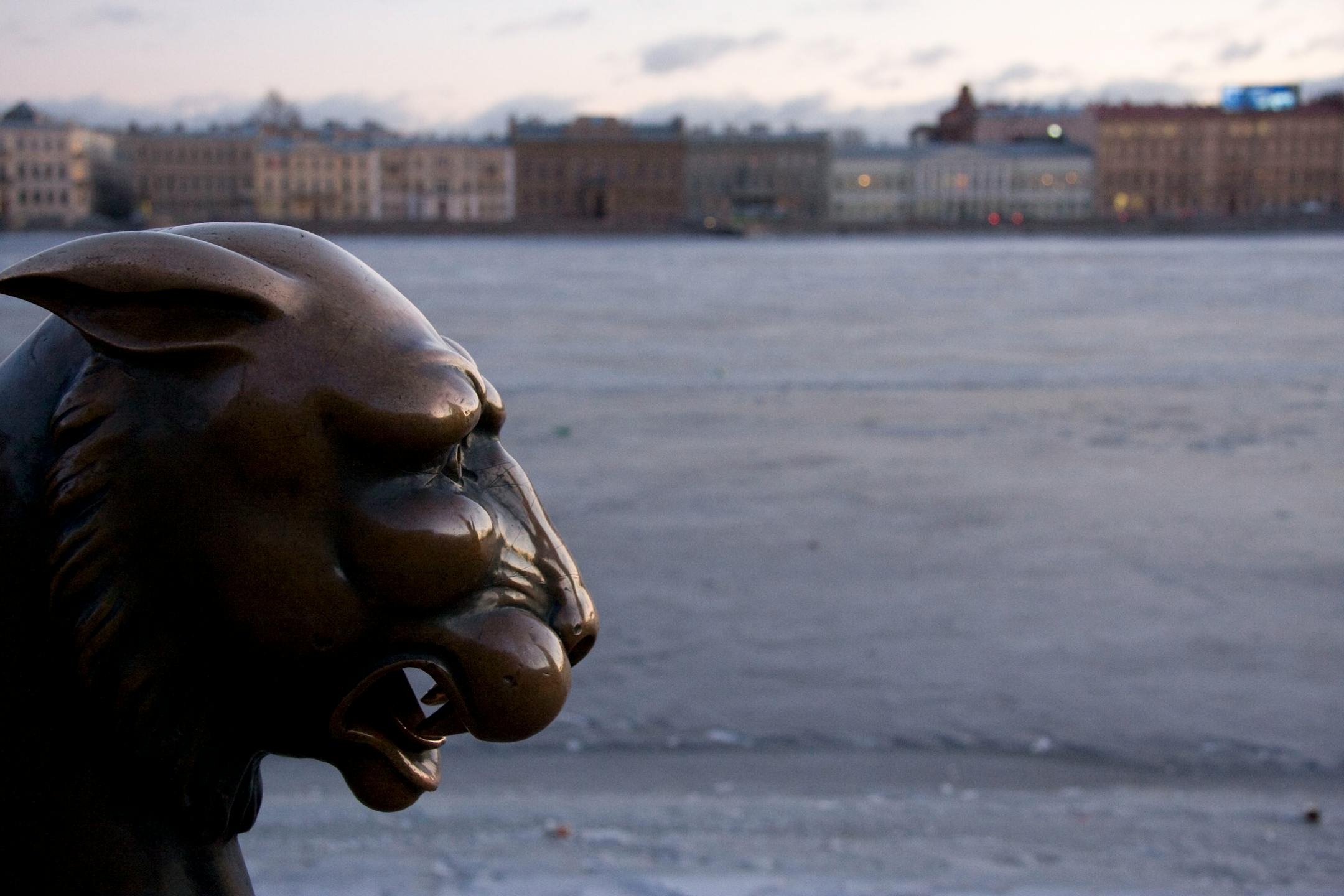 The bronze statue of a winged lion on a bridge over the Neva River.