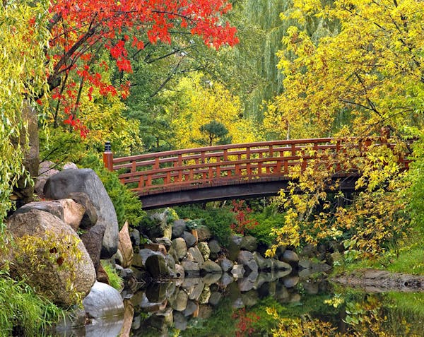 Anderson Japanese Gardens in Rockford, Ill., was named 2014's top Japanese garden in the U.S. by Sukiya Living magazine. (Anderson Japanese Gardens)