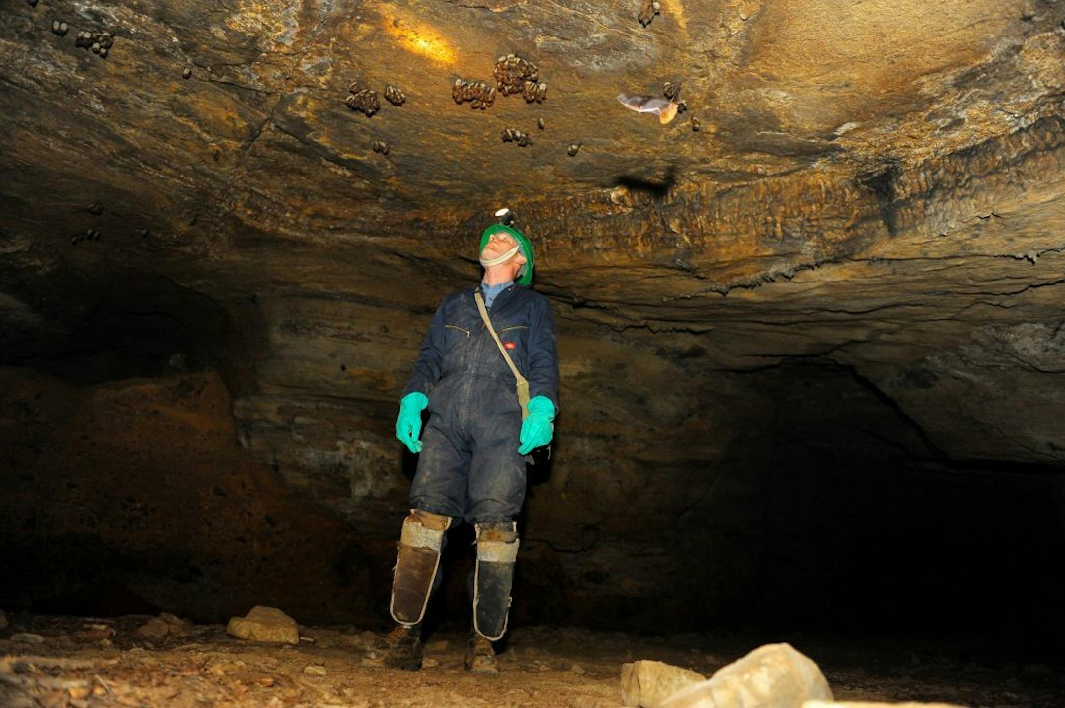 Rick Lambert, president of the Virginia Speleological Survey, checks for bats with white nose syndrome in Breathing Cave in Bath County, Va.
