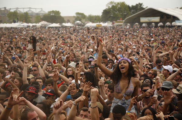 The crowd cheers at Soundset in 2014.