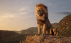 A still from 'The Lion King.' (Disney/TNS) ORG XMIT: 1407960