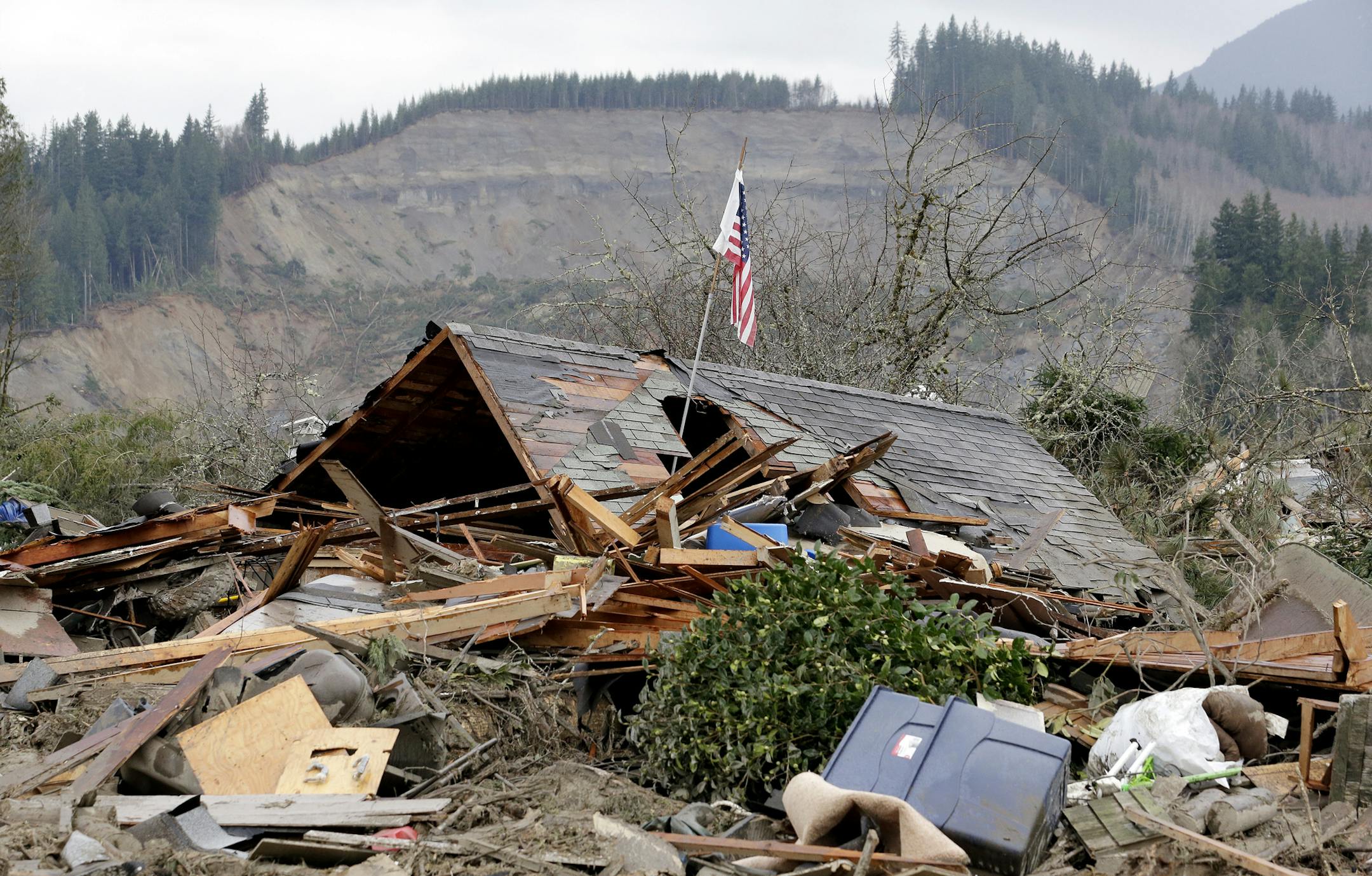 FILE - In this March 25, 2014 file photo, a flag stands on a demolished home near where a deadly mudslide from the hill behind ended, in Oso, Wash. A state review of timber harvest activities in the area near the deadly March landslide in Oso found that a timber company harvested one acre more than was allowed under a 2004 permit but that the application complied with rules at the time. The Department of Natural Resources released its review on Tuesday, Dec. 9, 2014, nine months after the landsl