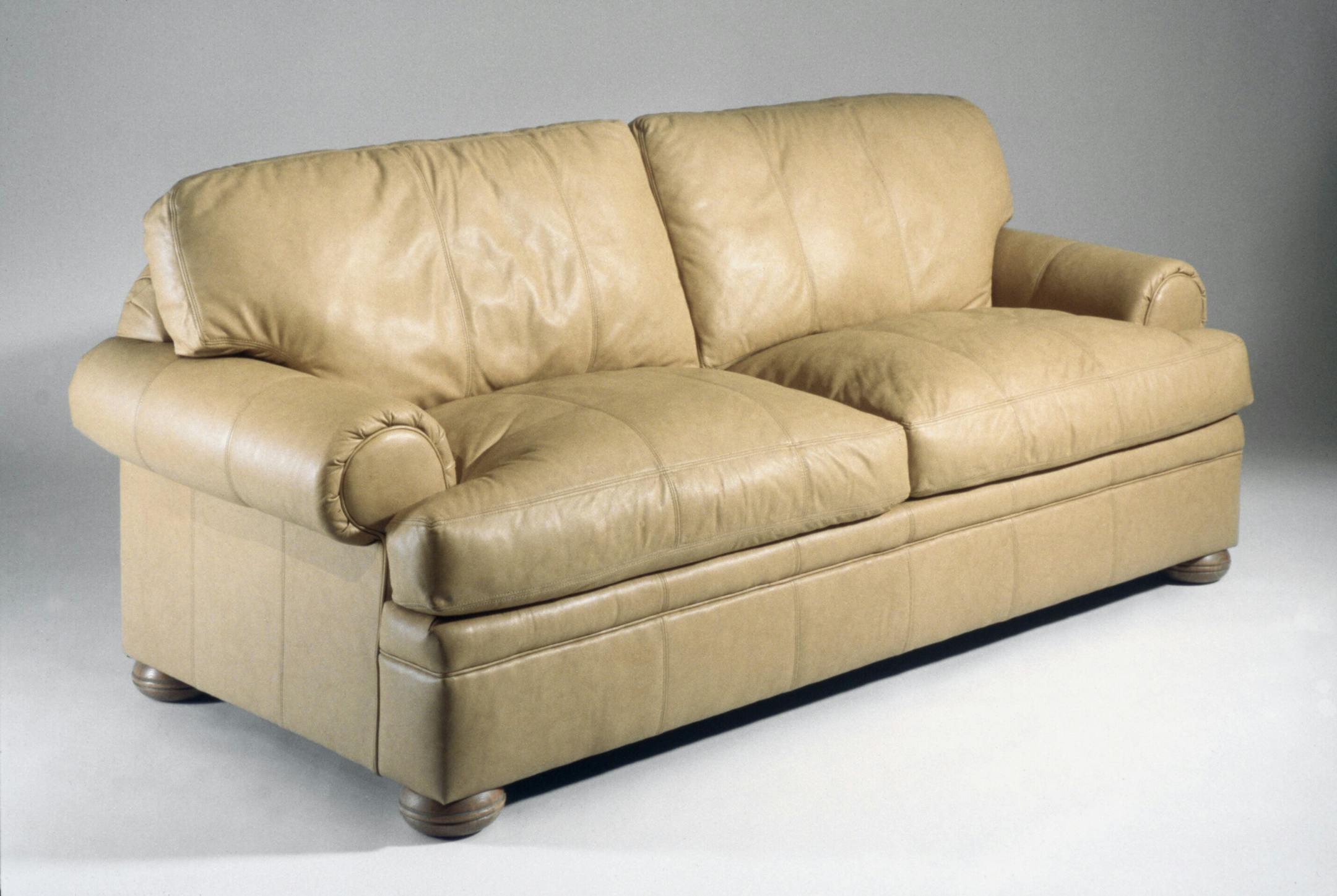 Vangaurd leather sleeper sofa