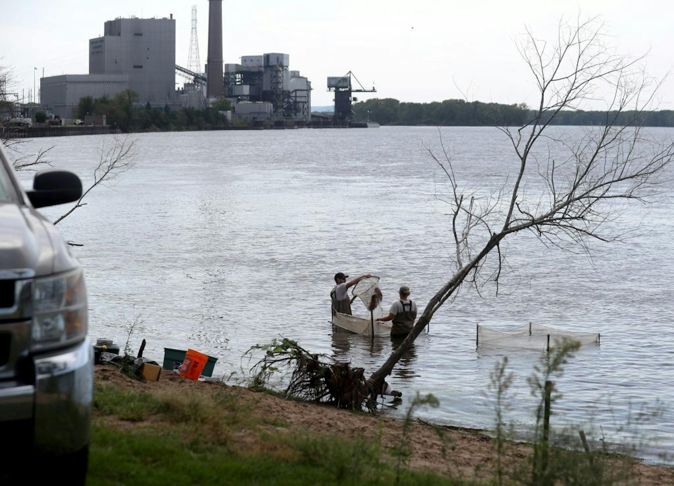 Andy Reisgraf, University of Minnesota masters student in Fisheries and Aquatics, left, and Jenna Merry, U.S. Fish and Wildlife Service, Fish Biologist, move carp surgically implanted with transmitters. The carp were taken from the waters near the Mississippi River and US Lock and Dam number 8 Tuesday, Sept. 17, 2019, in Genoa, WI. Technology has been placed in, around and below US Lock and Dam number 8 to prevent invasive spieces of carp from breaching the dam and moving up river.