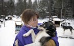 Colleen Wallin gives one of her dogs, Marlin, a little love. Wallin handicaps her gang line and tells us what makes her dogs tick. Advancer for Beargr