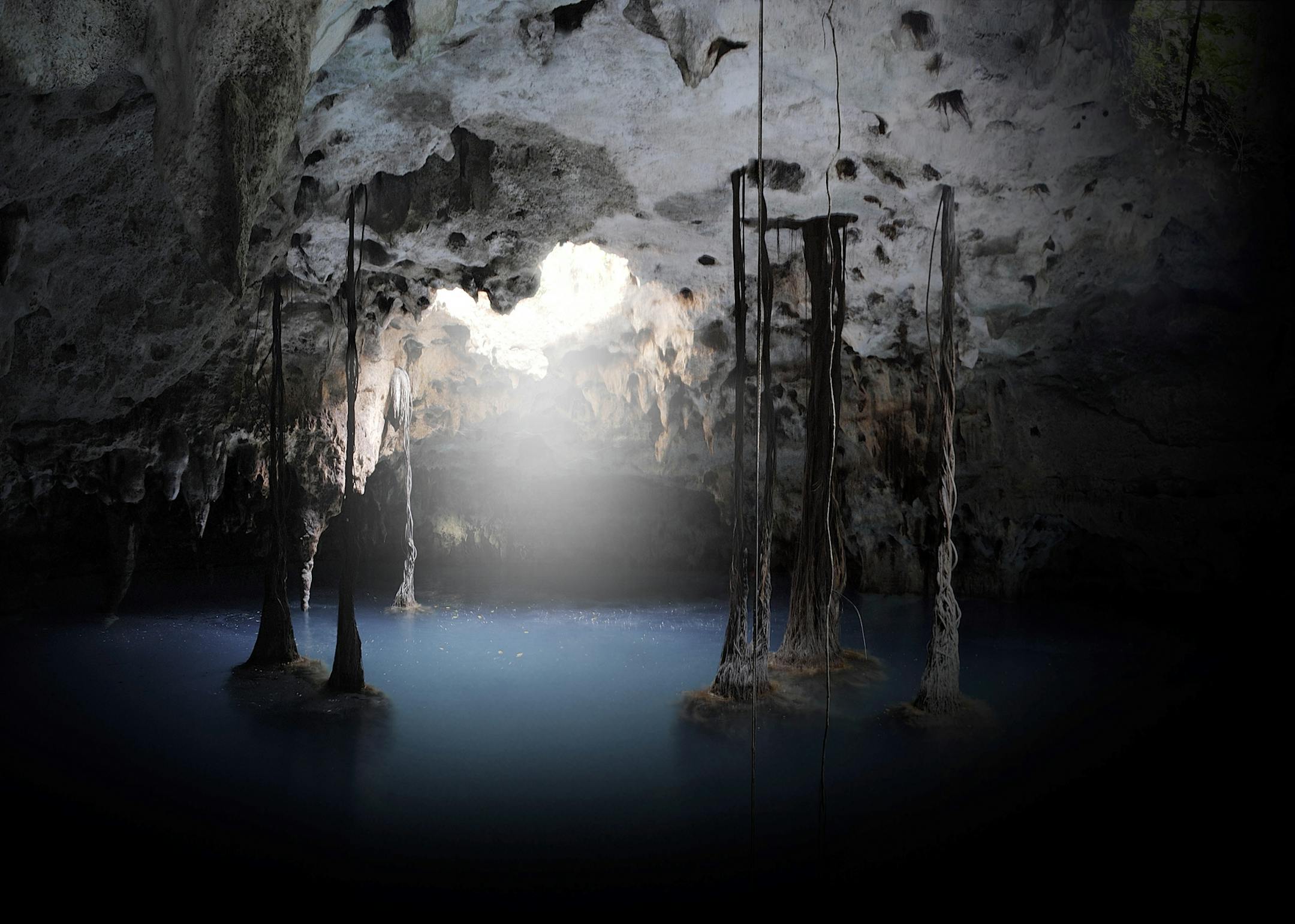 8. Sinuous Zapote tree roots hang down from the cave ceiling to the waterline. [ Medios Experiencias Xcaret