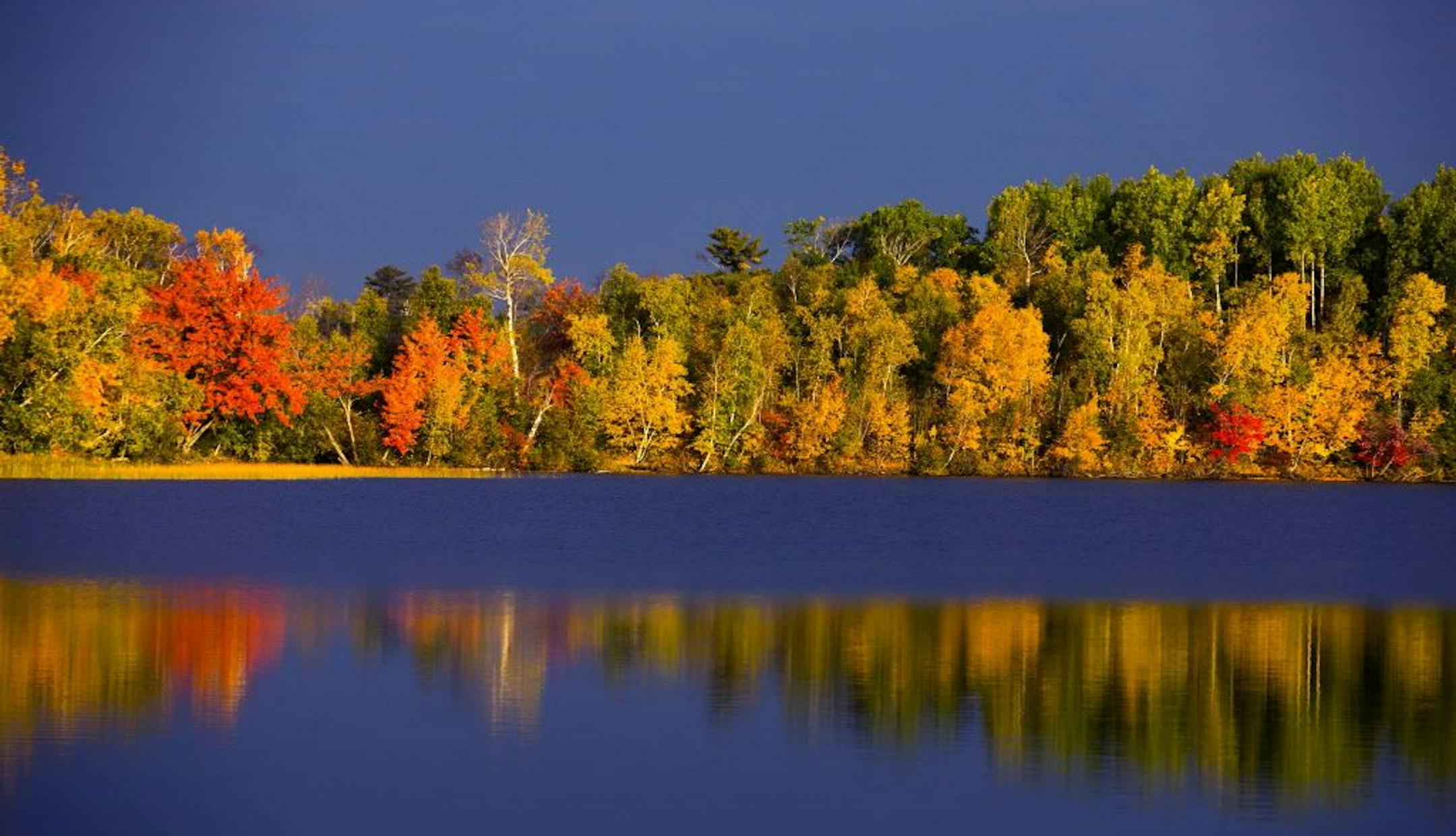 The early morning sun illuminated the reds, yellows and browns at a lake near Duluth.
