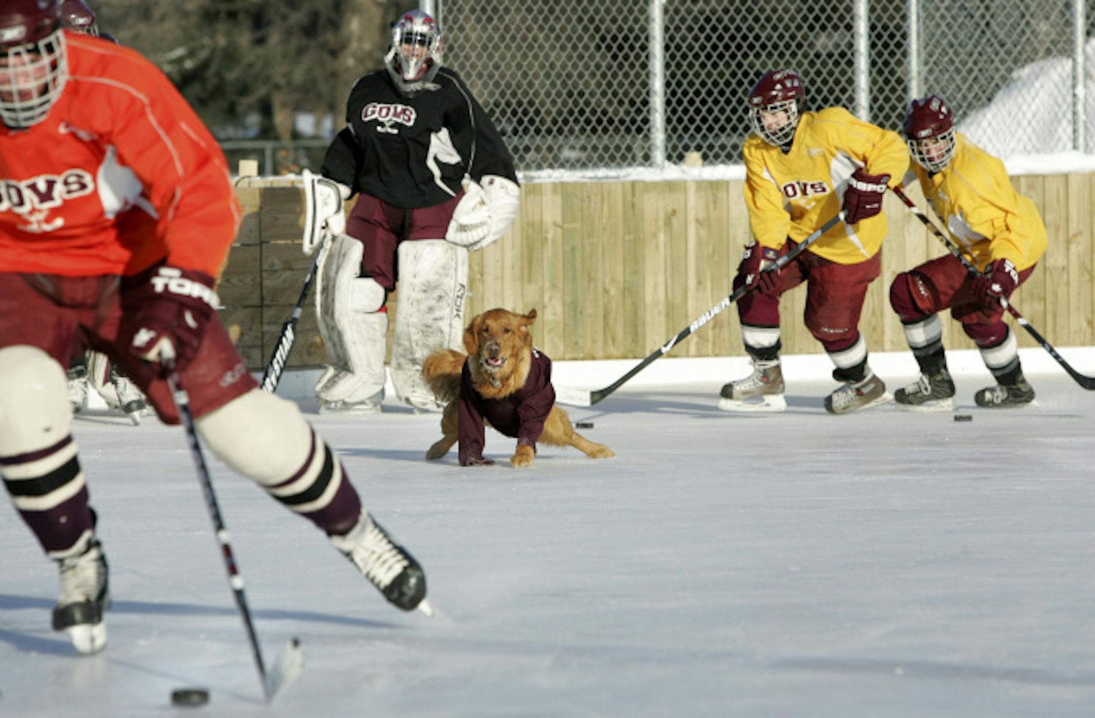 Boogaard, Johnson Coach Moose Younghans' golden retriever, sneaked onto the rink to chase the puck and the skaters during practice. The team's practice jerseys all have the same number: 55106, the ZIP code for the Lake Phalen area that has produced so many of the state's hockey legends. And Coach Moose believes that legacy is alive and well: "We try to emulate the guys from the past, and want to be thought of like them, be just like them, in the future."