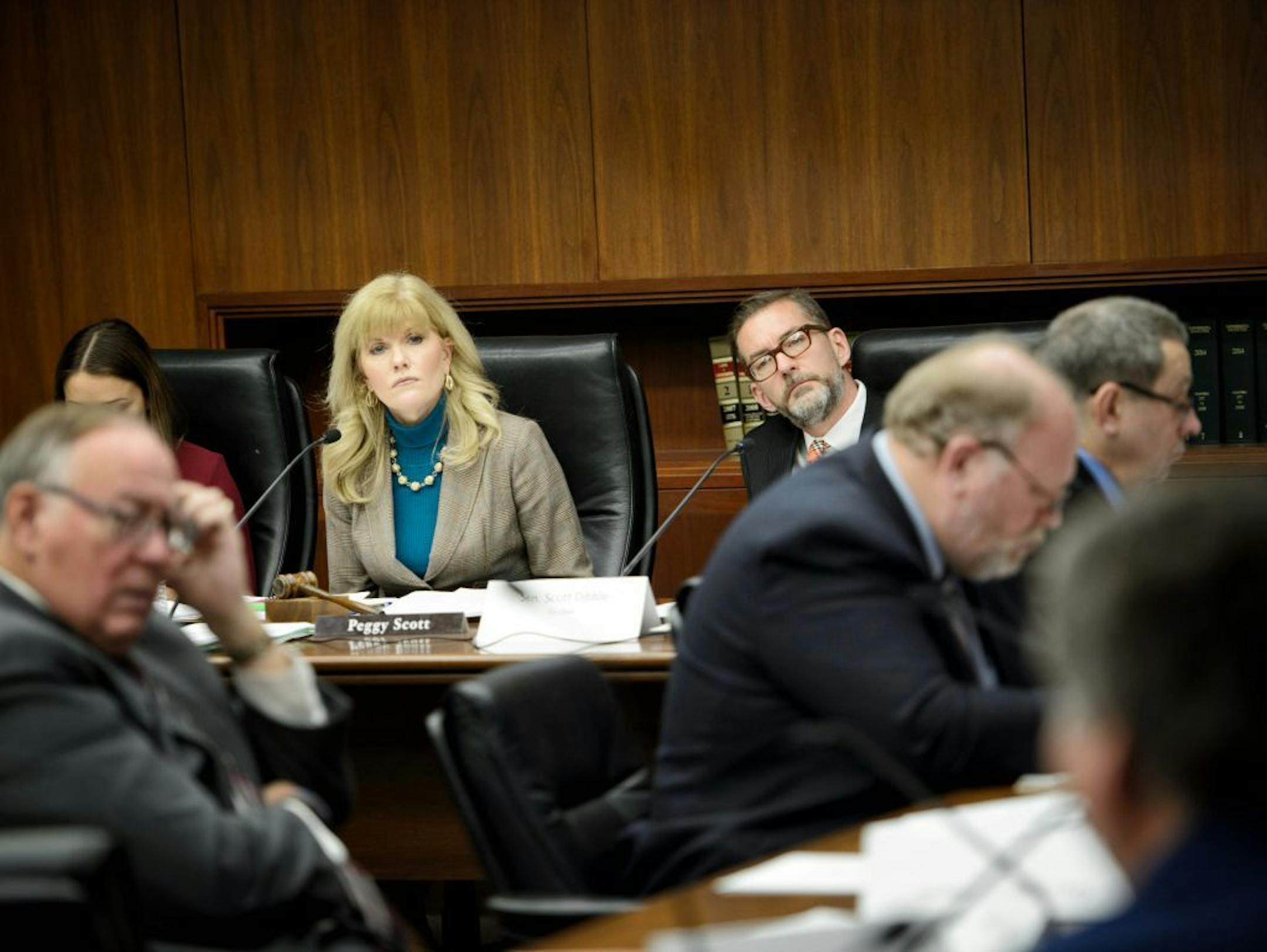 Working group chairs Prep Peggy Scott and Senator Scott Dibble listened to testimony on the issue.