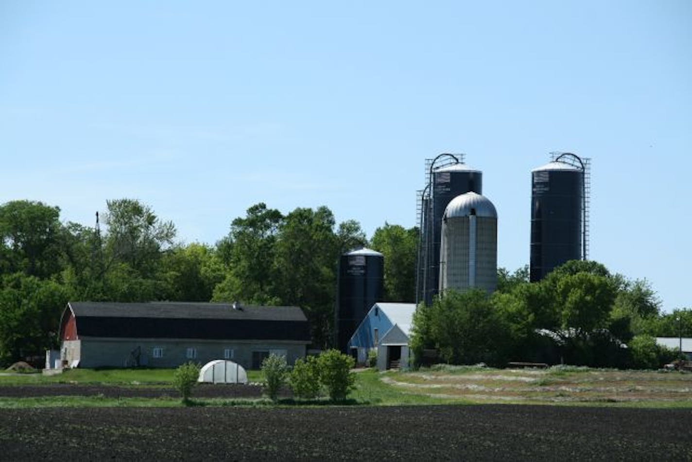 Michael Hartmann's dairy farm is a few miles south of Gibbon, Minn.