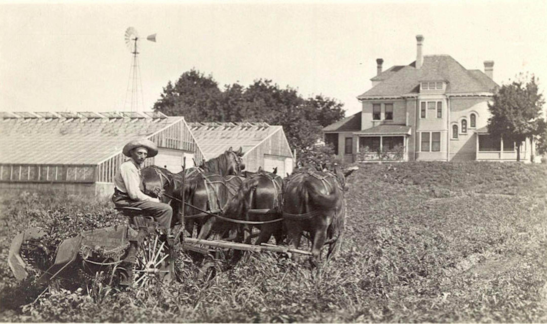 Greenhouse and field production at the Bachman homestead.