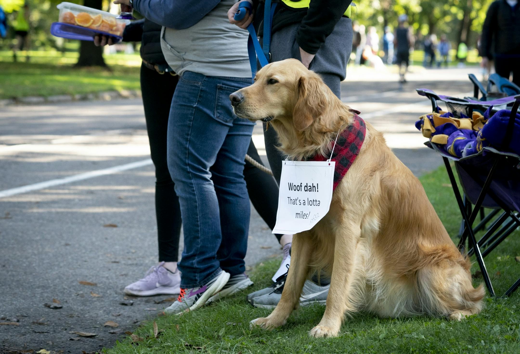 Sven the dog showed his support along Snelling Avenue near mile 23.