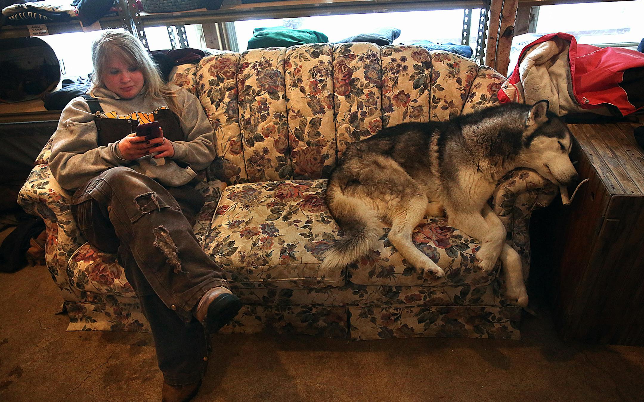 Wildlife Center caretaker Olivia Andrews relaxed for a moment with &#x201a;&#xc4;&#xfa;Charlie Wilson,&#x201a;&#xc4;&#xf9; a Husky owned by Peggy Callahan.]JIM GEHRZ &#x201a;&#xc4;&#xa2; jgehrz@startribune.com / Columbus, MN / February1, 2014 / 9:30 AM / BACKGROUND INFORMATION: Researchers at the Wildlife Science Center in Columbus, and visiting scientists from the St. Louis Zoo and the Mexican Grey Wolf Recovery, will be collecting semen from several wolves. The wolves will be captured and take