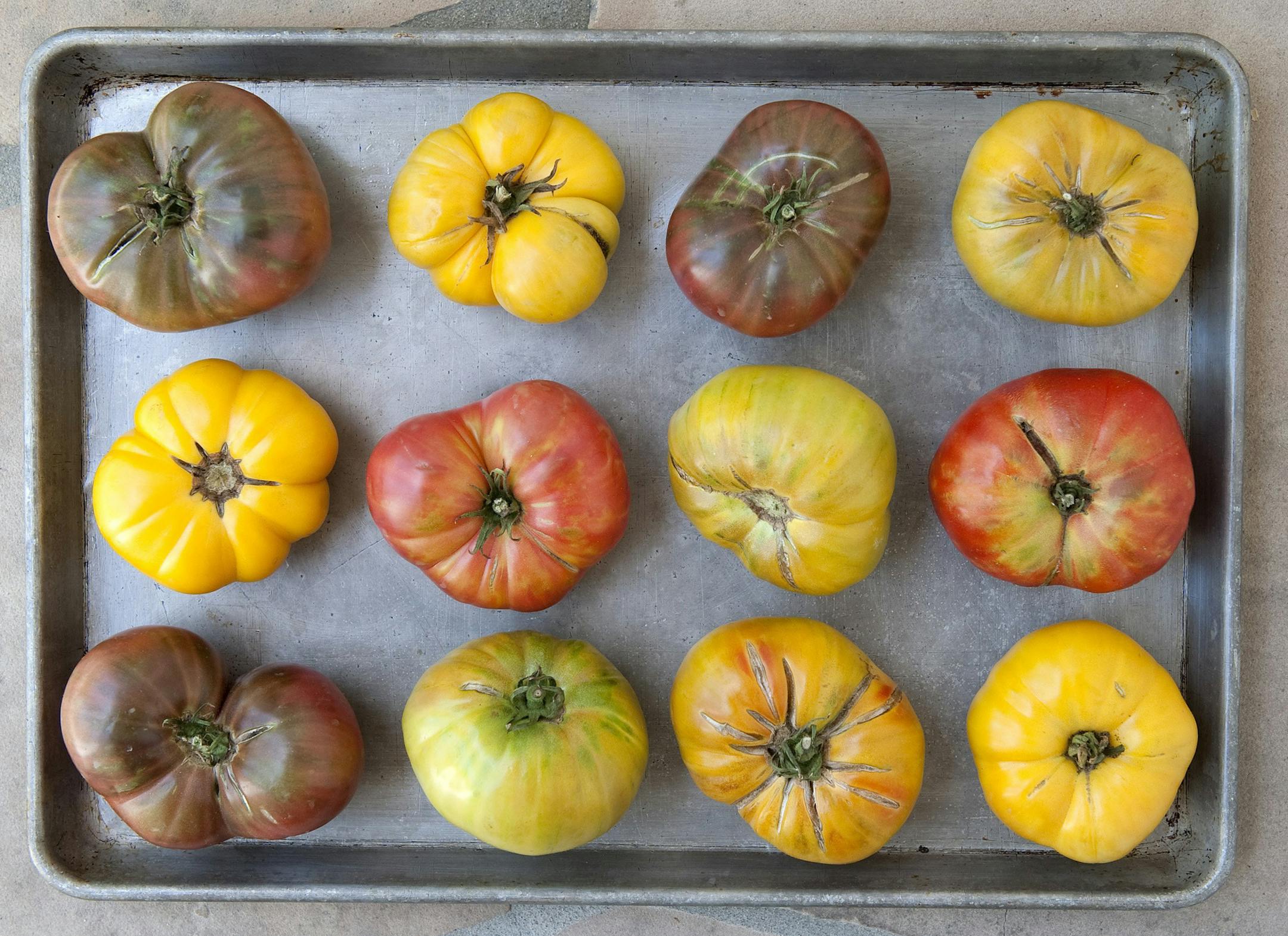 Heirloom tomatoes have all the rich flavors we remember from the old days when we all grew our own. (Nick Koon/Orange County Register/MCT) ORG XMIT: 1148240