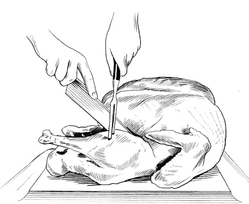 Step 1. Leave the turkey alone.