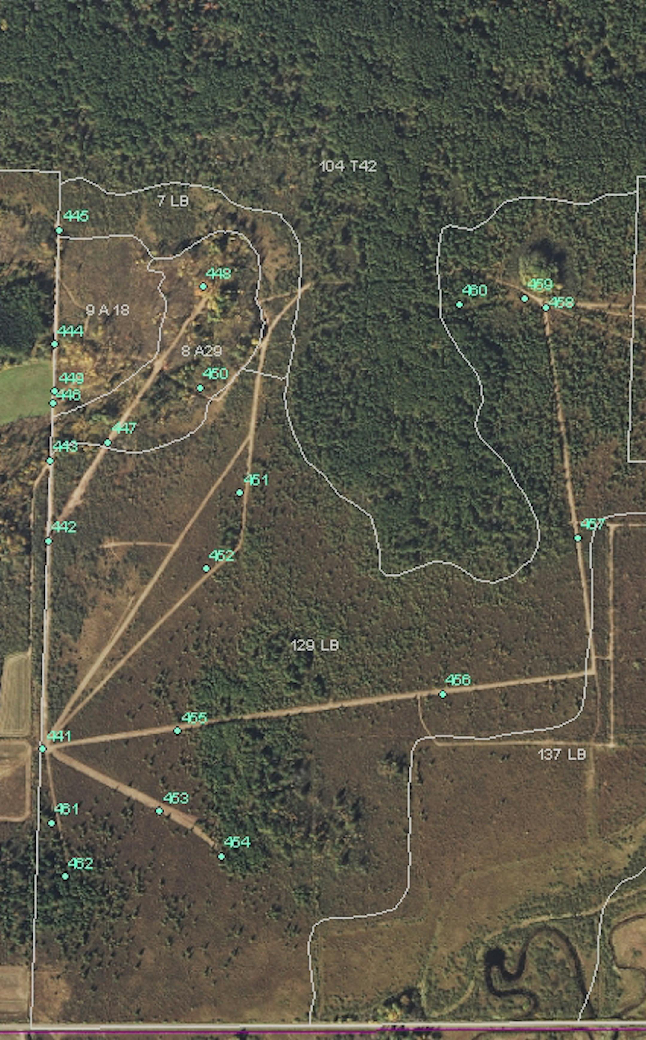 This aerial photo shows shooting lanes cut in state forest land in Aitkin County. State officials estimate that more than 8 acres of trees there have been illegally cleared for the shooting lanes. DNR photo