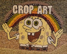 An image of Sponge Bob by Laura Minnihan. Crop art at the Minnesota State Fair on Thursday, Aug. 24, 2023 in Falcon Heights, Minn. ] RENEE JONES SCHNE