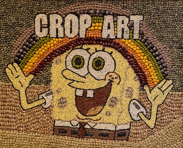 An image of Sponge Bob by Laura Minnihan. Crop art at the Minnesota State Fair on Thursday, Aug. 24, 2023 in Falcon Heights, Minn. ] RENEE JONES SCHNE