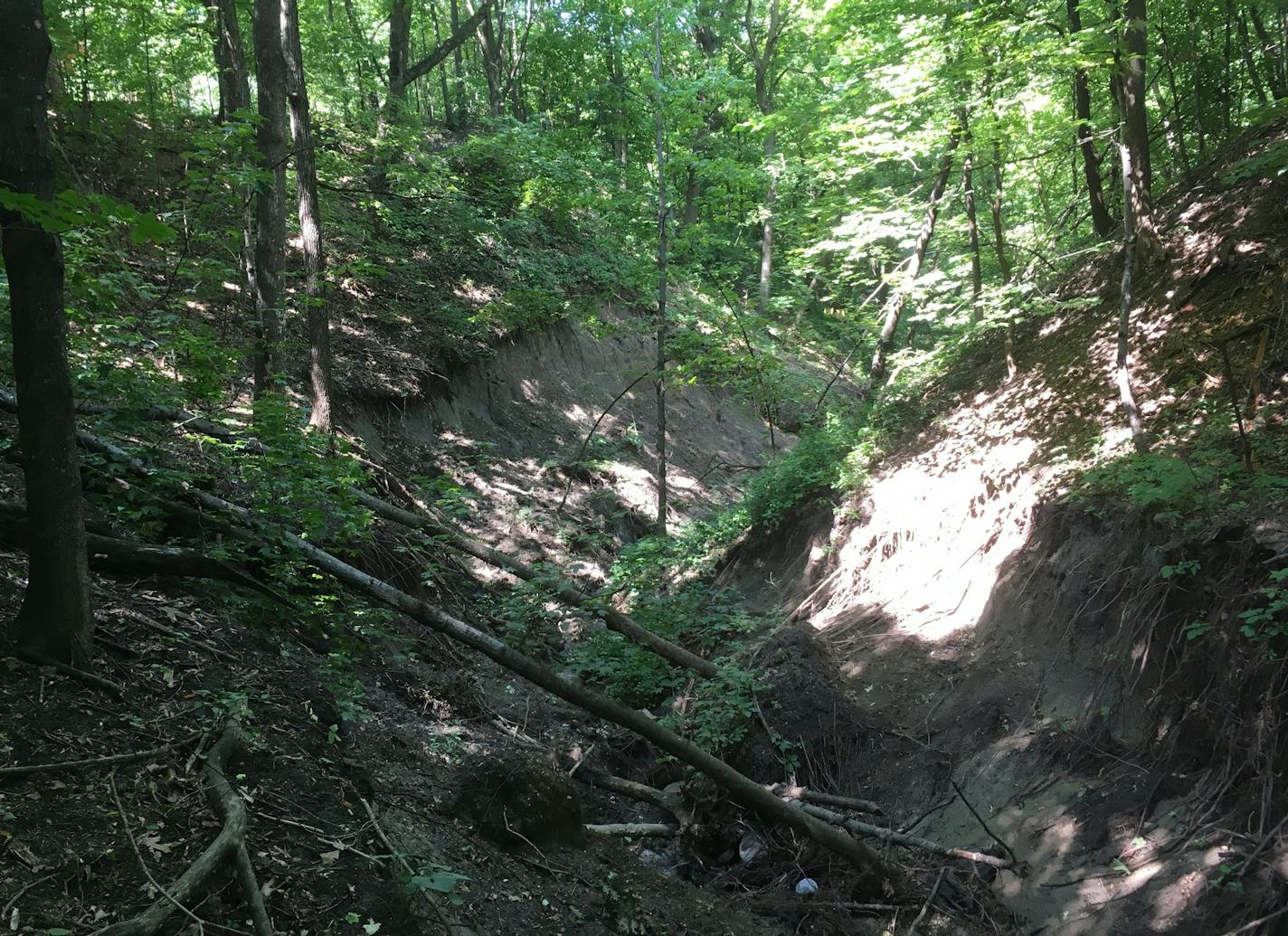 Concerns about possible erosion have prompted a plan to improve drainage in some Mankato ravines. Neighbors are protesting.