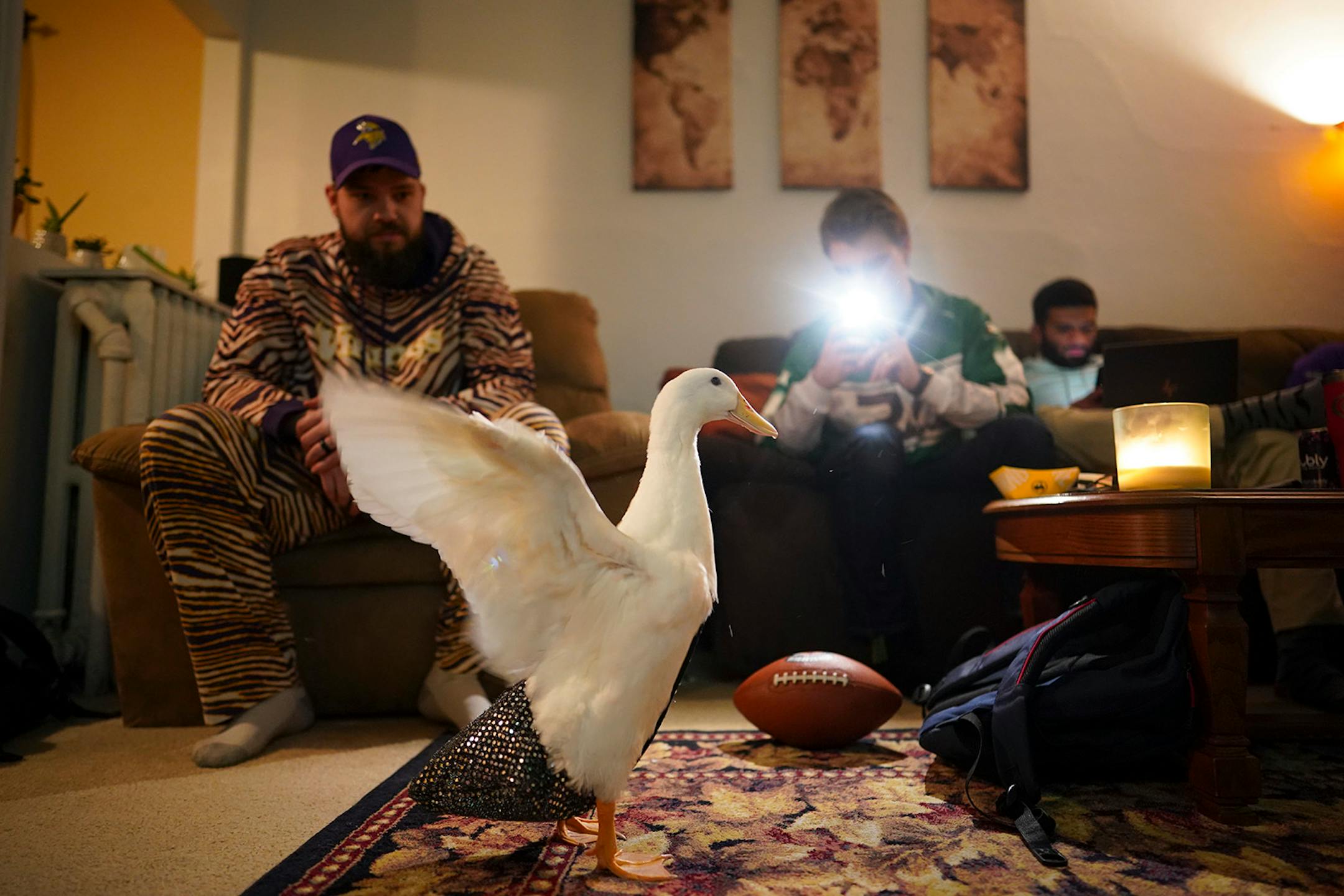 Ben Afquack flapped his wings while his owner, Derek Johnson, left, and friends Corey Bahr and Absaar Hadi watched the Super Bowl Sunday night.